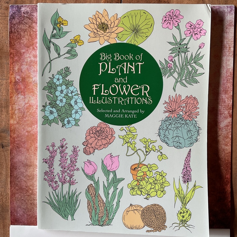 Big Book of Plant and Flower Illustrations by Maggie Kate